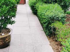 -牛一嘴·兰州牛肉面·大盘鸡(财富中心店)