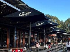 -威勒比开放式动物园