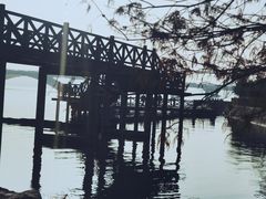 -高子水居