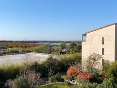 -上海崇明金茂凯悦酒店