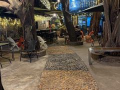 -柴犬高等学院·狗咖·柴犬售卖·宠物训练