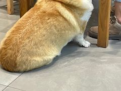 -阿木舂记·特色小吃(平江路店)