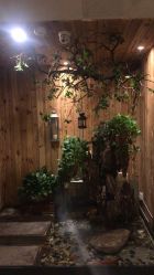 -至爱至信新中式SPA疗愈会所