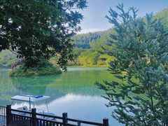 -广州白江湖森林公园