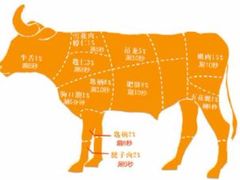 -一鼎牛鲜活牛肉城(晋江海峡国际食品城店)