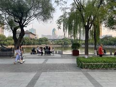 -文瀛公园