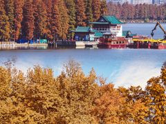 -东湖听涛景区