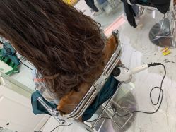 -潘多拉Hairsalon