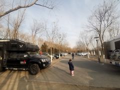 -大兴滨河森林公园