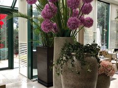 -金海湾自助餐厅(金陵饭店)