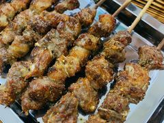 -民族烤羊·烤羊肉串·烤羊排(南城店)