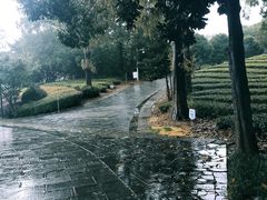 -敬亭山风景名胜区