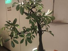 -顺峰(农展馆店)