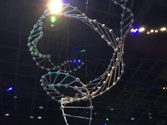 -贝林大翅鲸简餐厅(国家海洋博物馆店)