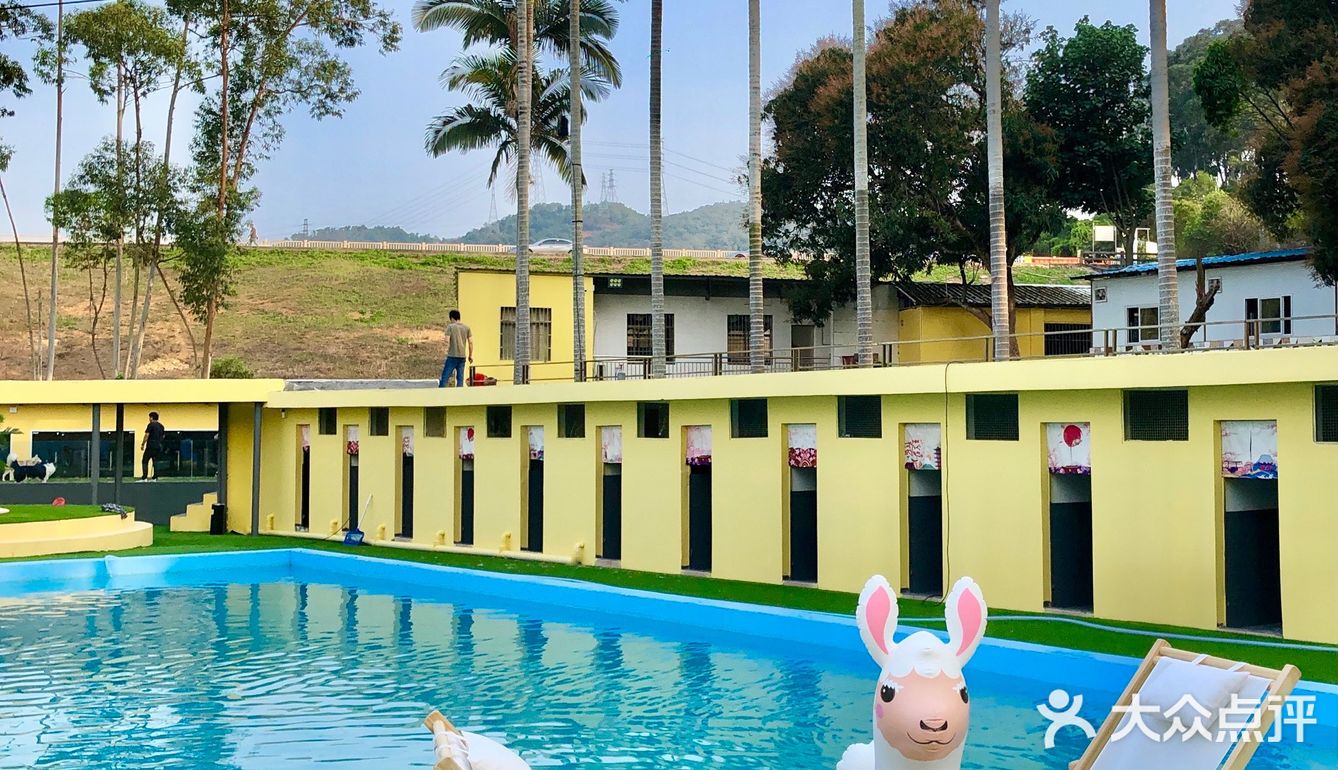 超豪华宠物度假村|五星级体验服务989306