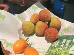 -季季山·云南野生菌火锅(上海首店)