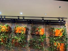 门面-功夫兔