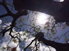 iphone_upload_pic-美国纪念公园