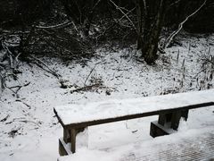 -黄龙山原始森林景区