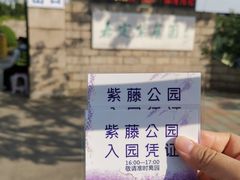 -嘉定紫藤园