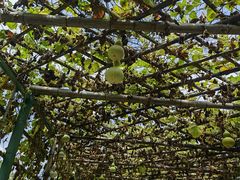 -新安江山水画廊风景区