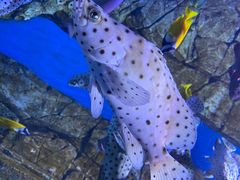 -成都浩海立方海洋公园