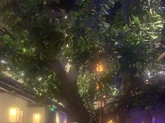 -绿茶餐厅(城西银泰城店)