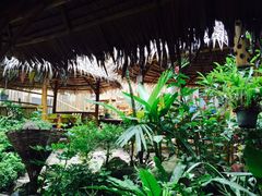 -Jungle Kitchen