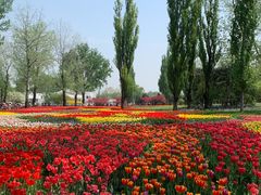 -国家植物园南园