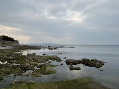 -养马岛旅游度假区