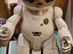 -百新书局(尚悦湾店)