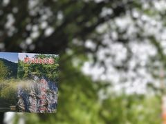 -黔灵山公园-南门售票处
