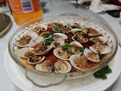 -小贝壳酒楼(经九路店)