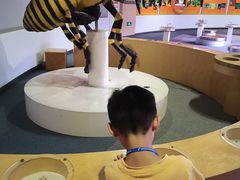 -陕西自然博物馆