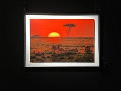 -罗红摄影艺术馆