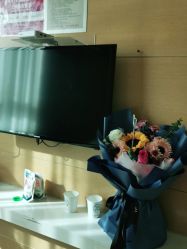 -郑州米兰柏羽集美医疗美容医院