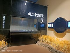 -湖南省科学技术馆
