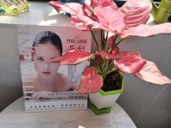 -尚艺造型.剪烫染.接发