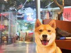 -LOOOAD COFFEE进度条(D9街区店)