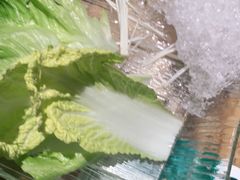 -春润大地海南椰子鸡(沙井京基百纳广场店)
