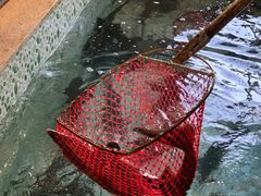 -荣德灶台鱼(圣泉寺店)