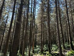 -芦芽山旅游度假区