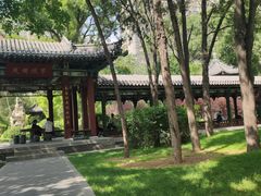 -迎泽公园