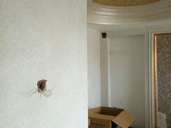 -菲迪科尔墙衣(集美家居定慧桥店)