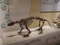 -国家自然博物馆