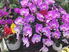 -三旗百汇商品城