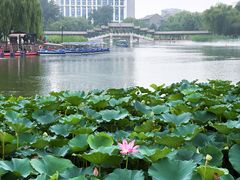 -西海子公园