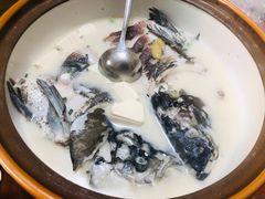 -全乐鱼馆·淳牌有机鱼直营店