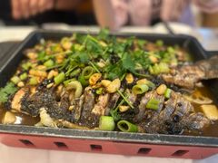 -成都美食巫山烤鱼(三里河路店)