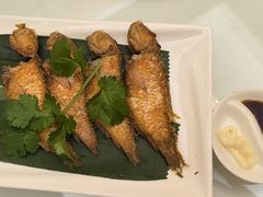 -金华安大酒楼·老牌潮菜·粤式茶点(东方国际店)